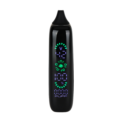 Pulsar 510 DL 5.0 Vape